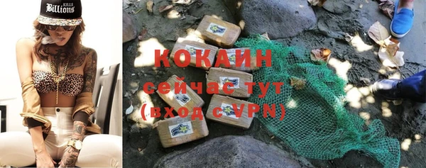 a pvp Аркадак