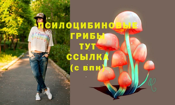 2c-b Арсеньев